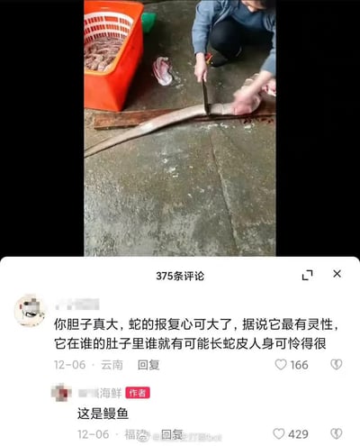 这张图片展示了一位民众正在处理一条类似蛇的长条鱼，旁边有塑料筐装着类似水产品。下方配有一段截自网络评论的对话：一位网友认为正在处理的是蛇，并发出恐惧感言，作者则幽默地澄清那其实是鳗鱼。这种“把鳗鱼认成蛇”的乌龙很常出现在网络中，评论区的误会和澄清使得气氛变得搞笑和轻松，暗含对网络生态中过度恐惧和误解的调侃。
