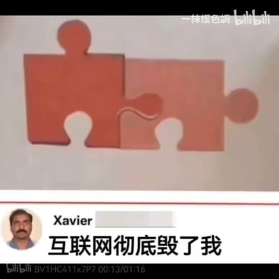 这张梗图分为上下两部分：上方是两块看似拼接不契合的拼图，实际是视觉错位造成的错觉，二者的拼接结构完全匹配；下方是外网用户Xavier的社交媒体评论，配文「互联网彻底毁了我」。将视觉错觉的拼图和自嘲式的吐槽结合，调侃互联网上的各类反常识、迷惑内容让自己的认知都产生了「错位」，或是表达被互联网信息轰炸后的无奈自嘲，用视觉梗和文字吐槽形成搞笑的反差感。