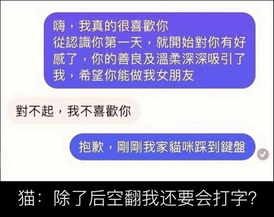 该图为搞笑网络梗图，上半部分模拟即时通讯软件的聊天界面：首先发言方发送了一段真挚的告白内容，称自认识起就被对方的善良温柔吸引，希望对方成为自己的女朋友；收到对方直白的拒绝回复后，告白方立刻改口，称刚才的消息是家里的猫咪踩到键盘误发的。图片底部配有黑底白字的吐槽内容，以猫的第一视角反问“除了后空翻我还要会打字？”，调侃告白者被拒后为了挽尊强行找十分荒谬的借口、把责任甩给不可能会打这么多字的猫咪的行为，充满讽刺和喜剧效果。