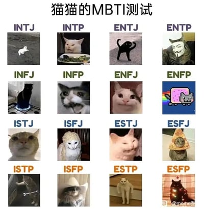 这是一张以4×4网格排版的趣味梗图，将16种MBTI人格类型与贴合其特质的猫咪表情包一一对应：
- INTJ：独自趴在地面的白猫，对应“战略家”人格的疏离、独立特质；
- INTP：坐在餐盘里的白猫，对应“逻辑学家”人格的古怪、专注；
- ENTJ：摆出霸气姿势的黑猫，对应“指挥官”人格的强势、领导力；
- ENTP：戴着V字仇杀队面具的猫，对应“辩论家”人格的反叛、爱搞事；
- INFJ：置于燃气灶火焰上的黑猫，对应“咨询师”人格的特立独行与牺牲感；
- INFP：表情委屈崩溃的猫，对应“调停者”人格的敏感、情绪化；
- ENFJ：笑容温和的猫，对应“教育家”人格的温暖、感染力；
- ENFP：经典彩虹像素猫（Nyan Cat），对应“竞选者”人格的活泼、跳脱；
- ISTJ：表情严肃的猫，对应“物流师”人格的稳重、靠谱；
- ISFJ：戴着针织帽的猫，对应“守护者”人格的贴心、传统；
- ESTJ：表情得意的猫，对应“总经理”人格的掌控欲、自信；
- ESFJ：戴着披萨帽的猫，对应“执政官”人格的热情、爱社交；
- ISTP：手持扳手的猫，对应“手艺人”人格的动手能力、务实；
- ISFP：戴着宽檐帽的猫，对应“艺术家”人格的文艺、随性；
- ESTP：姿势滑稽的猫，对应“企业家”人格的爱热闹、接地气；
- ESFP：挂满彩灯的黑猫，对应“表演者”人格的活泼、爱出风头。
整图用猫咪梗图趣味化解读MBTI人格，贴合年轻人对人格测试与网络梗图的喜爱，充满轻松的创意感。
