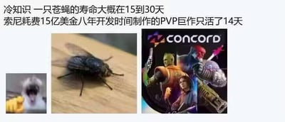 这是一张用于吐槽索尼游戏《Concord》的拼贴梗图，图中上方配有文字：“冷知识 一只苍蝇的寿命大概在15到30天 索尼耗费15亿美金八年开发时间制作的PVP巨作只活了14天”，下方拼接了三张图：左下角是张嘴嘶吼、握拳的震惊狗狗表情包，中间是一只趴在平面上的真实苍蝇，右侧是游戏《Concord》的官方宣传图。
通过将投入巨大却迅速停运的游戏和苍蝇的寿命进行对比，用强烈的反差感来嘲讽这款游戏的失败，充满了调侃和讽刺的意味。