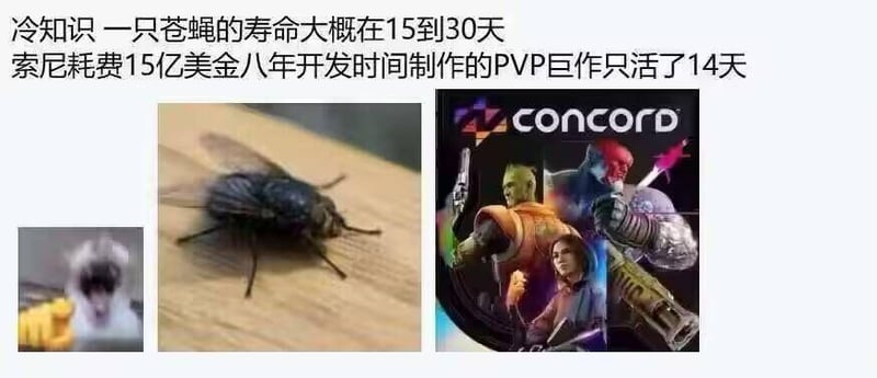 游戏《Concord》