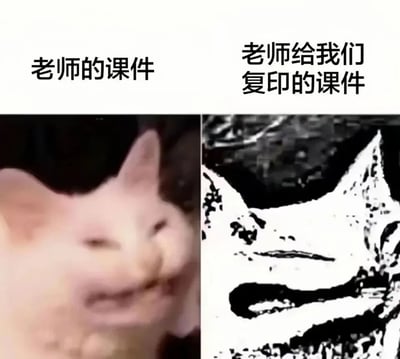 这是一张左右对比的静态梗图，左侧是清晰的、表情扭曲的粉色猫咪表情包，画面细节完整，猫咪呈现出滑稽的神态，上方配文“老师的课件”，用来指代原版课件清晰可读的状态；右侧是经过严重失真处理的黑白版猫咪图像，画面布满噪点、细节模糊不清，几乎无法辨认原本的猫咪神态，上方配文“老师给我们复印的课件”，以夸张的视觉对比，调侃学校复印的课件质量极差，与原版差距巨大，精准戳中学生群体在校园里遇到的复印资料质量不佳的共鸣点，内容幽默接地气。