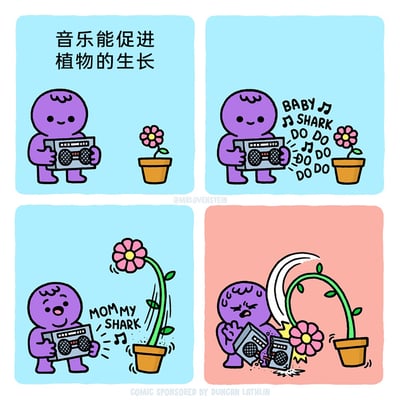 这是一幅四格趣味漫画，第一格左上角配文“音乐能促进植物的生长”，紫色卡通小人手持便携式音响，对着一盆盛开的小花；第二格小人播放魔性儿歌《Baby Shark》，带有音符的歌词文字在音响旁浮现；第三格小花疯狂长高，茎干大幅摆动，同时小人继续播放歌词“MOMMY SHARK”；第四格小花的茎干长出类似鲨鱼鳍的白色结构，愤怒地挥起“鱼鳍”砸坏了小人的音响，小人则惊恐地冒汗，双手护住自己，花盆也被震得晃动。漫画用反差梗，将“音乐促进植物生长”的常识和魔性儿歌的“洗脑”效果结合，制造出植物因不堪魔性音乐而暴走的搞笑场景。