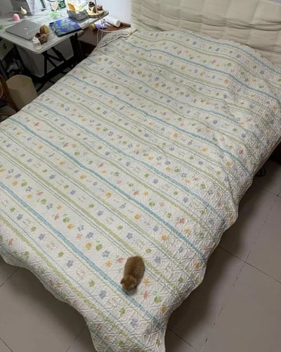 一张卧室场景的照片，画面中央是一张铺着浅色花纹被子的床，被子上有彩色条纹和小花图案。一只小棕猫正趴在床尾，低头似乎在嗅闻被子。床的旁边有一张书桌，上面摆放着笔记本电脑、书籍、化妆品和其他杂物。房间地面是浅色瓷砖，整体给人温馨居家的感觉。