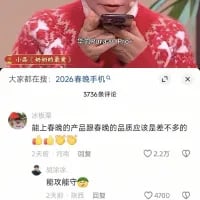 这是一张竖屏的抖音社交媒体截图，画面上方是一位穿着红色带白色花纹毛衣的真人，正低头专注操作手机；画面中间有白色文字标注“大家都在搜：2026春晚手机？”，下方是评论区内容。热门评论中，用户“冰杨落”留言“能上春晚的产品跟着春晚的品质应该是差不多的”，收获2.2万赞，这条评论是玩梗调侃，暗示春晚的品质，进而调侃即将上春晚的手机产品；还有一条用户“熊双能守一”的评论内容被截断。整体是围绕“2026春晚手机”展开的网络调侃讨论。