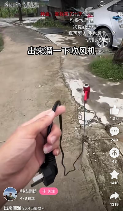 这是一张B站趣味视频的截图，利用视觉错位的拍摄手法，将手持的吹风机电源线插头与地面的裂缝对齐，让画面看起来像是在“牵着吹风机遛弯，把吹风机当作宠物溜”，制造出荒诞搞笑的效果。图中配有字幕“出来溜一下吹风机”，还有B站用户的实时弹幕评论，如“狗提线原理”“我们吹丰机”（“吹风机”的谐音梗），进一步放大了画面的趣味性，整体风格轻松欢乐，充满整活感。