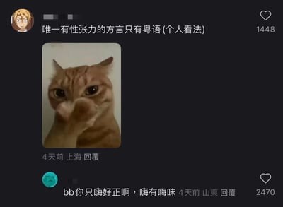 社交媒体截图中，一名用户用动漫头像发布观点“唯一有性张力的方言只有粤语 (个人看法)”，获1448点赞。配图是一只橘猫用爪子捂住嘴巴，眼神羞涩，仿佛在害羞或偷笑。下方另一名用户用蓝色头像回复“bb你只嗨好正啊，嗨有嗨味”，获2470点赞，显示4天前来自山东。整体呈现网友围绕粤语魅力展开的幽默调侃互动，猫咪表情包的娇羞神态与文字内容形成趣味呼应。