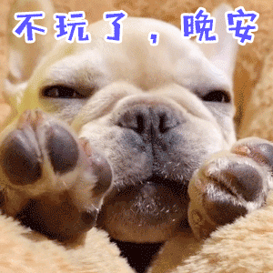 法斗小狗困困表情包：不玩了，晚安～