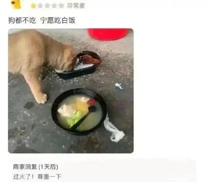 这是一张外卖平台的评价截图，用户给出一星“非常差”的差评，配文“狗都不吃 宁愿吃白饭”，并附带一张实拍图：一只狗正低头专注吃单独盛放的白饭，对旁边放置的一份带汤的外卖餐品完全无视，以此来表达对所点外卖餐品质量的极度不满。一天后商家针对该评价回复“过火了！尊重一下”，表达对用户用狗来评价餐品这种方式的不满，形成了充满趣味和争议的评价互动。