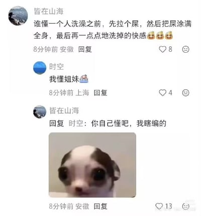 这是一段社交媒体评论区的互动截图，用户「皆在山海」先发布了一段极其离谱的虚构发言：「谁懂一个人洗澡之前，先拉个屎，然后把屎涂满全身，最后再一点点地洗掉的快感」，并搭配三个惊讶表情；用户「时空」随即回复「我懂姐妹」附带害羞表情，随后「皆在山海」回复戳穿：「你自己懂吧，我瞎编的」，同时配上一张眼睛瞪大、满脸震惊的狗狗表情包，制造出回复者被整蛊的搞笑社死效果，对话充满无厘头的幽默感，反差感拉满。