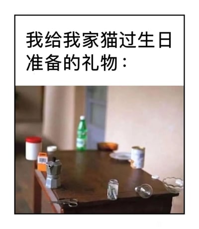 一张幽默梗图，上方文字写着'我给我家猫过生日准备的礼物：'，下方是一张摆满各种随机 household 物品的桌子照片，包括咖啡壶、剪刀、塑料瓶、灯泡和各种罐子等。这种反差创造了幽默效果，因为这些物品显然不是猫咪会喜欢的生日礼物。