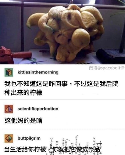 这是一张图文结合的社交媒体截图，画面上方展示了一个外形极其怪异的果实，多个类似柠檬的组织扭曲地聚合在一起，形态完全偏离正常柠檬的样子；画面下方是三条网友的评论，第一条评论来自用户kittiesinthemorning，该用户表示自己也不清楚这个果实为何长成这样，但说明这是自己在后院种出来的柠檬；第二条评论来自用户scientificperfection，用直白的吐槽语气表达了对这个怪异果实的震惊；第三条评论来自用户buttpilgrim，化用了西方俗语“当生活给你柠檬，就把它做成柠檬水”的句式，调侃这个畸形柠檬应该被做成祭品，充满了荒诞的搞笑感，整个内容通过畸形水果和网友的搞笑互动，营造出轻松诙谐的氛围。