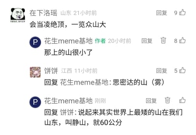 这是一张社交媒体评论区的静态截图，用户“在下洛瑶”改编杜甫经典诗句《望岳》中的“会当凌绝顶，一览众山小”为“会当凌绝顶，一览众山大”，以此玩梗；账号作者“花生meme基地”随即调侃回复“那上的山很小了”，用户“饼饼”接着玩梗回复“思密达的山（雾）”，最后作者科普世界上最矮的山是山东的静山，露出地面的高度仅60公分，整个评论区通过改编古诗玩梗、趣味调侃和真实地理知识科普形成了轻松有趣的互动氛围。