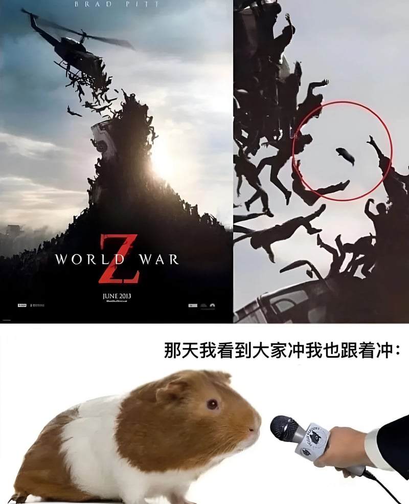 豚鼠