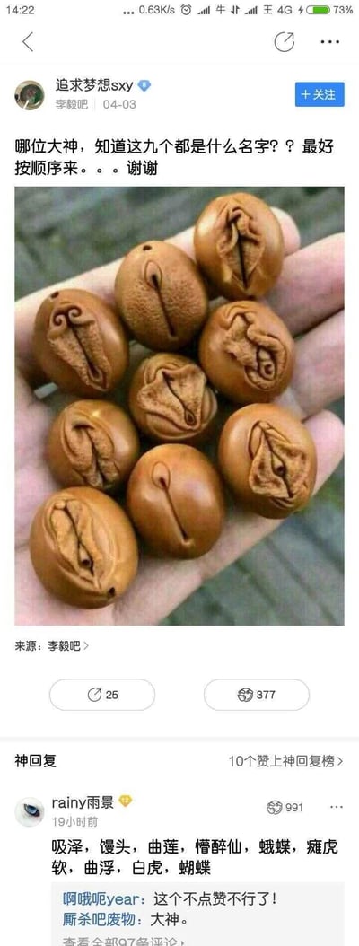 这是一张百度贴吧李毅吧的社交媒体截图，用户“追求梦想sxy”于04-03发布帖子，展示了手中九个雕刻有类似人体私密部位造型的核雕手串，发帖询问这九个核雕的具体名称并希望得到按顺序的解答。帖子下方用户“rainy雨景”给出了一串利用谐音梗创作的名字：吸泽，馒头，曲莲，懵醉仙，蛾蝶，瘫虎软，曲浮，白虎，蝴蝶，这些名称是对核雕所模仿的人体部位的谐音调侃，该回复获得了991个赞，另有其他网友回复称赞这个回复有趣、专业，形成了贴吧内的趣味互动场景。
