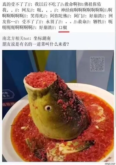 社交媒体账号“南北方相关bot”发布的帖子截图，内容为询问湖南某道名菜名称，配图是一道覆盖大量红色辣椒的鱼头菜肴。帖子下方汇集了大量网友的夸张反应文本，包括“好崩溃”“受不了了”“救命”等，表达对菜品辣度的震惊与搞笑式绝望，整体呈现出因地域美食引发的幽默互动场景。
