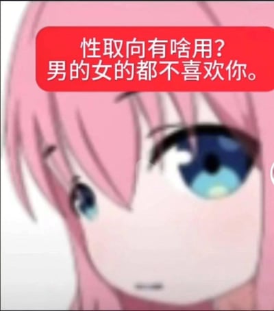 这是一张改编自动画《孤独摇滚！》的表情包，画面是主角后藤独（波奇酱）的面部特写，她眼神低落无神，上方红色框内配有扎心吐槽文字：“性取向有啥用？男的女的都不喜欢你。”，用自嘲的方式调侃单身、无人喜爱的处境，风格搞笑又扎心，没有双关或谐音梗。