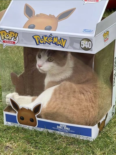 一只棕白相间的猫咪正舒适地坐在一个打开的Funko Pop!宝可梦伊布（EEVEE） vinyl手办盒子里。盒子顶部印有伊布的卡通形象，侧面标有“POP! GAMES”、“Pokémon”以及编号“540”。猫咪的毛色与伊布的棕色十分相似，仿佛在cosplay这只经典宝可梦角色，画面可爱又幽默。盒子放置在绿色的草地上，营造出轻松的户外氛围。猫咪表情平静，眼神看向一侧，姿态自然地填满了盒子内部空间，形成了一幅有趣的巧合场景。