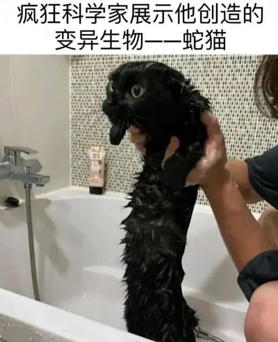 图片展示了一个浴室场景，白色浴缸旁有银色水龙头和一瓶洗护用品，背景是浅色马赛克瓷砖。一名人物正双手捧着一只全身湿透的黑色猫咪，猫咪因毛发湿透紧贴身体而显得身体细长，头部较大，眼睛圆睁，嘴巴微张，整体形态酷似“蛇身猫头”的组合。图片上方配有文字“疯狂科学家展示他创造的变异生物——蛇猫”，通过幽默的方式将湿猫的特殊形态调侃为虚构的变异生物，营造出滑稽搞笑的效果。