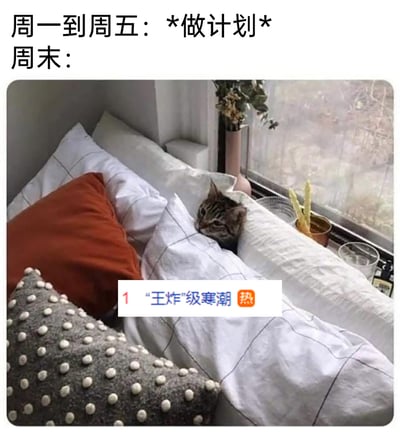 这张图是用来调侃打工人日常状态的梗图，上方文字标注“周一到周五：*做计划* 周末：”，通过前后对比，搭配图中窝在柔软枕头堆里、神态慵懒倦怠的猫咪，精准还原了打工人在工作日时充满规划、努力工作，到了周末就只想彻底放松、瘫躺休息的反差状态；同时图中叠加了“1 
