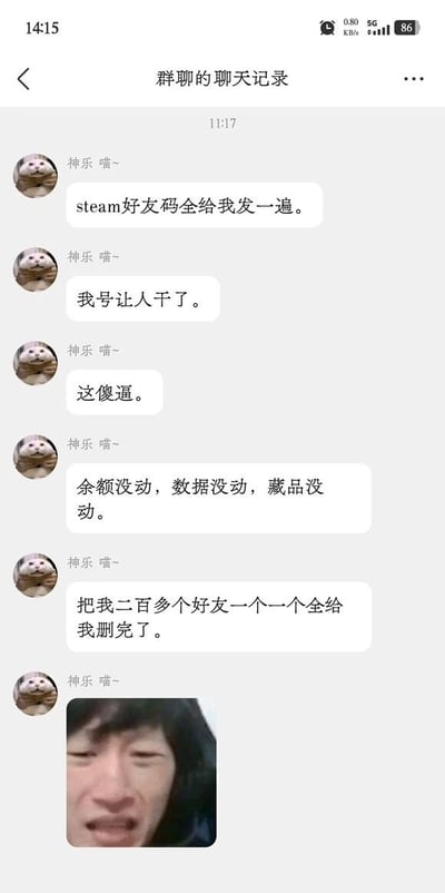 群聊截图中，用户“神乐 喵~”（头像为熊猫表情包）连续发送消息求助：先索要Steam好友码，接着吐槽自己账号被盗“我号让人干了”，怒骂黑客“这傻逼”，随后解释账号余额、数据和藏品均未丢失，但二百多个好友被逐个删除。最后附上一张真人崩溃哭泣的表情包，生动展现了又气又无奈的心情。