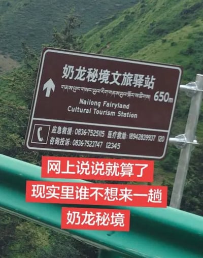整张图为野外山区公路的实拍场景，背景是长满绿色植被的山坡，前景可见绿色的公路波形护栏。画面核心是一块安装在金属杆上的深棕色旅游交通指示牌，牌面最上方标注白色大字“奶龙秘境文旅驿站”，左侧有向上的白色箭头，右侧标注距离为650米，同时配有藏文、英文对应翻译；指示牌下半部分标注了应急救援、医疗救助、咨询投诉的多个联系电话。指示牌下方叠加了三行红底白字的醒目配文，依次为“网上说说就算了”“现实里谁不想来一趟”“奶龙秘境”，借网络热门卡通IP“奶龙”的热度玩谐音梗，调侃网友此前对AI生成奶龙内容的吐槽，实际上不少人对同名的文旅景点抱有好奇向往的心态。