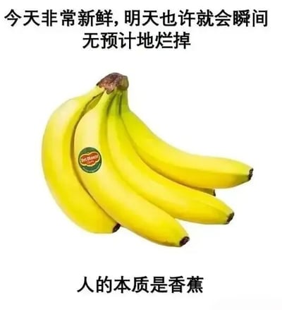 这是一张顶配底文的静态单图，画面核心是一串表皮鲜黄、果柄呈棕褐色的新鲜都乐香蕉，香蕉表面贴有品牌标识。图片上方配有文字“今天非常新鲜，明天也许就会瞬间无预计地烂掉”，下方配有文字“人的本质是香蕉”。该图以日常常见的香蕉为喻，香蕉看似状态完好，却可能毫无预兆地快速变质，以此类比人生的不确定性——人们的生活或状态可能在看似顺遂的时刻，突然遭遇意外的变故或低谷，用生活化的事物做隐喻，直白又精准地戳中人们对人生无常的感慨，容易引发情感共鸣。