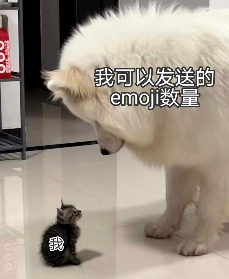 萨摩耶