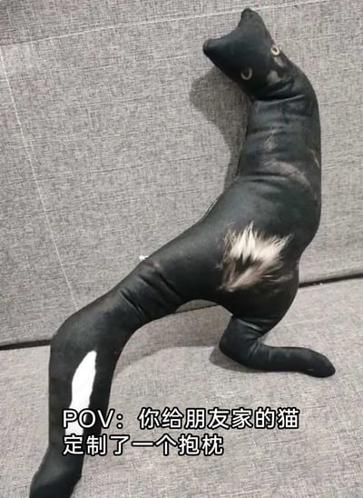 这张图片展示了一个根据朋友家黑猫定制的抱枕，原本想要还原猫咪形象的定制抱枕，因为版型设计和填充的问题，将正常的黑猫照片图案扭曲成了身体比例怪异、姿态奇特的样子，看起来滑稽又离谱。图片底部的配文“POV：你给朋友家的猫定制了一个抱枕”点明了场景，营造出一种好心定制却收获怪异成品的搞笑反差感，属于典型的定制商品翻车类搞笑内容。
