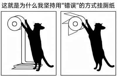 图片为左右对比的黑白卡通漫画，上方配有标题“这就是为什么我坚持用'错误'的方式挂厕纸”。左侧画面中，一只猫站立用前爪触碰采用“正确”（纸从下方垂下）方式悬挂的厕纸卷；右侧画面中，同一只猫试图触碰采用“错误”（纸从上方垂下）方式悬挂的厕纸卷，但此时厕纸架上多了一个三角形遮挡物，阻止猫咪接触到厕纸。通过对比幽默地展现了用“错误”方式挂厕纸可防止猫咪捣乱的生活智慧。