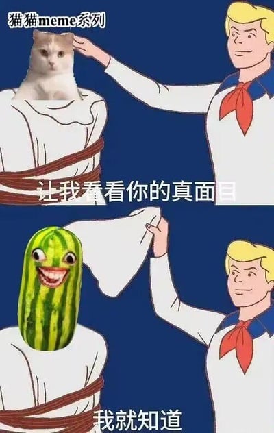 这是一张上下两格的连环搞笑meme图，属于猫猫meme系列。上半格中，一个卡通男性伸手要揭开被绑在柱子上的“人”的头套，头套部分是一只表情茫然的猫咪，配文“让我看看你的真面目”；下半格中，男性揭开布后，露出的不是猫咪，而是一个带着滑稽大笑人脸的西瓜，配文“我就知道”。通过“以为是猫咪结果是拟人西瓜”的强烈反差，制造出意料之外的搞笑效果，没有双关、谐音梗或暗示内容，纯靠反转剧情逗乐观众。