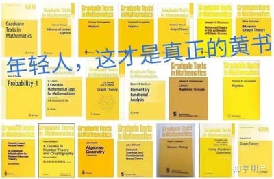 图片中展示了多本黄色封面的《Graduate Texts in Mathematics》系列数学教材，整齐排列成网格状。图片中央有醒目的蓝色大字中文文本“年轻人，这才是真正的黄书”，通过双关语“黄书”制造幽默效果——通常“黄书”指色情书籍，此处调侃这些黄色封面的高难度数学教材才是让学生头疼的“真正黄书”。