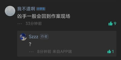 这是一张社交媒体内容平台的评论区截图，用户「我不道啊」（带有「小学生」标识）在33分钟前发布评论「凶手一般会回到作案现场」，该评论收获9个点赞；内容作者「Szzz」在8分钟前通过APP端回复了一个问号「？」，该回复收获1个点赞。评论玩了一个刑侦类的梗，暗示作者回到自己的内容页面（即所谓的「作案现场」），调侃作者就是那个「凶手」，而作者的问号回复则表现出对这个梗的疑惑或是没理解其中的调侃意味。