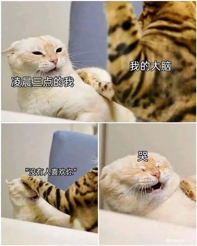 这是一张由三格画面组成的连环meme梗图，用两只猫咪的互动具象化深夜emo的状态。第一格中，神态疲惫的浅色猫咪代表“凌晨三点的我”，旁边的虎斑猫咪代表“我的大脑”；第二格中，代表大脑的虎斑猫咪凑到浅色猫咪耳边，配文“没有人喜欢你”，传递出深夜里冒出来的自我否定想法；第三格中，浅色猫咪闭眼张嘴，呈现出崩溃大哭的模样，配文“哭”，精准还原了人在深夜容易被负面情绪侵袭、陷入自我否定的崩溃瞬间，引发同类情绪体验者的共鸣。