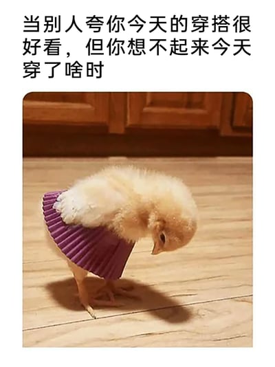 这是一张贴合日常尴尬场景的搞笑梗图，图片上方配有文字“当别人夸你今天的穿搭很好看，但你想不起来今天穿了啥时”，下方是一只被人为套上紫色蛋糕纸托当作裙子的小鸡，小鸡正低头看向自己身上的“裙子”，动作和神态生动还原了被夸赞穿搭后，却突然记不清自己穿着什么，连忙低头确认的窘迫又好笑的状态，用可爱的动物形象放大了日常里的小尴尬，让人感同身受又觉得趣味十足。