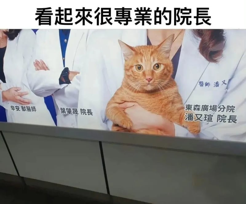东森广场分院院长