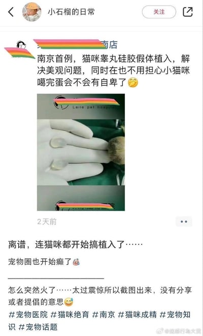 这是微博用户「小石榴的日常」分享的截图内容，截图里是南京某宠物医院宣传的「南京首例猫咪睾丸硅胶假体植入」项目，称该项目可以解决猫咪绝育后的外观问题，避免猫咪出现「自卑」情绪，配图展示了手术使用的硅胶假体以及猫咪相关的画面。分享的用户对该行为感到离谱、震惊，明确表示自己仅为截图分享，并不提倡这类操作，同时带上了#宠物医院 #猫咪绝育 等相关话题引发讨论。内容无谐音梗或双关，核心是宠物医疗领域的离谱操作引发网友吐槽。