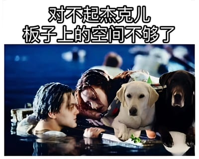 这是一张改编自电影《泰坦尼克号》经典场景的梗图。原场景中露丝躺在门板上，杰克在水中无法爬上的画面被修改，加入两只拉布拉多犬占据门板空间，上方文字“对不起杰克儿 板子上的空间不够了”点明笑点，通过夸张改编调侃原场景的空间争议，制造幽默效果。