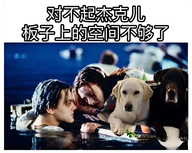黄色拉布拉多犬