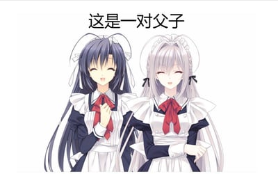 这是一张二次元恶搞梗图，画面中是两位身着女仆装的长发二次元女性角色，左侧角色深色长发，手放在红色领结处，面带温柔的微笑；右侧角色浅色长发，手放在身侧，同样笑意盈盈。图的上方配有黑色文字“这是一对父子”，利用角色的女性化外貌和文字标注的“父子”身份形成强烈反差，打破大众对父子形象的常规认知，通过这种性别、身份的错位制造出搞笑戏谑的效果，属于典型的网络反差类玩梗内容。