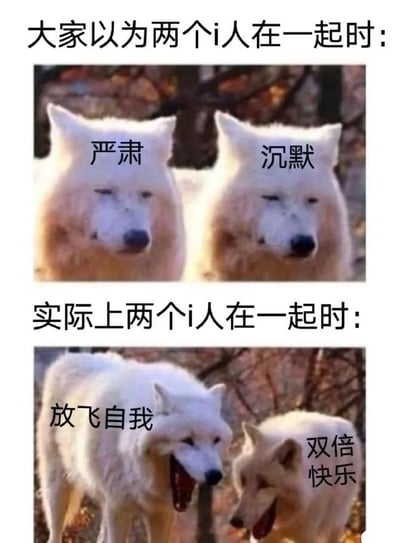 这是一张采用狼表情包二次创作的趣味梗图，通过上下两部分的对比，调侃了MBTI性格中的内向型（i人）实际相处模式。上半部分，两只狼表情严肃沉默，配字“严肃”“沉默”，侧面表现出大家对内向人聚会的刻板印象。下半部分，两只狼开怀大笑，打上“放飞自我”“双倍快乐”，实际上展现了当i人遇到同类时能更加自在释放自我，形成强烈反差。整体内容幽默，暗含社交圈的“小众狂欢”与反差梗。