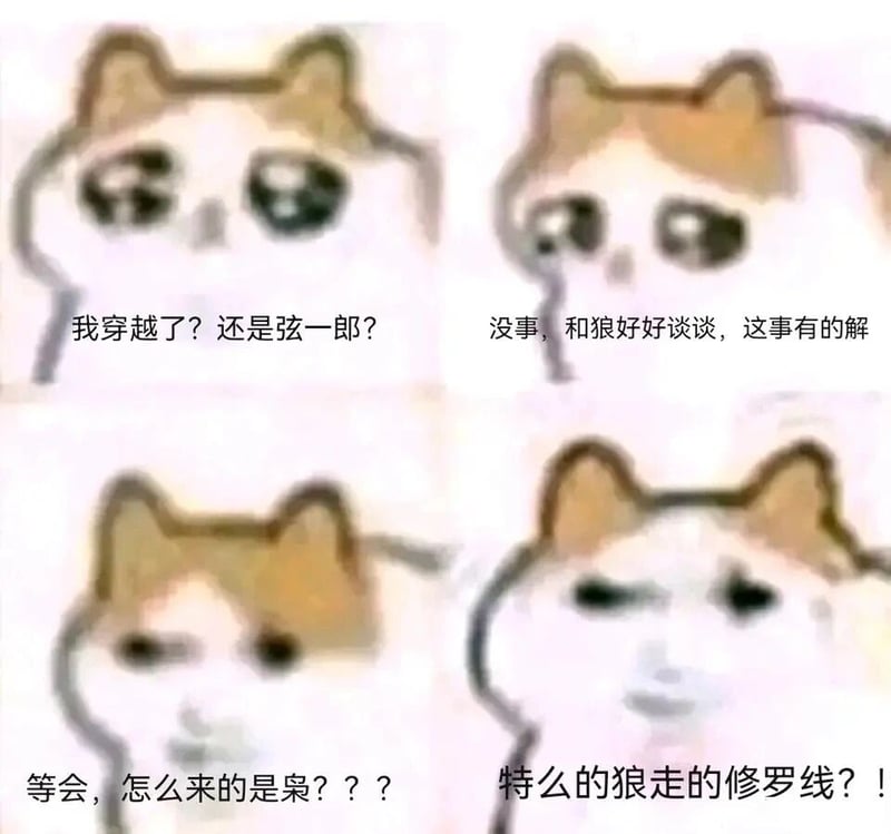 只狼：影逝二度