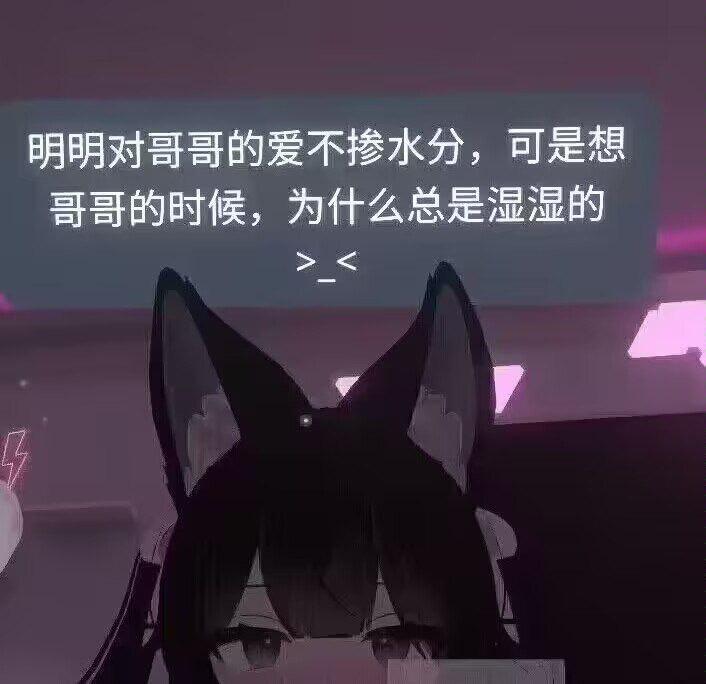 猫耳少女