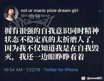 这是一张来自Twitter（现X平台）的用户推文截图，发布于2019年1月22日10:54，由用户@mollydarlene_通过iPhone端的Twitter应用发布。截图左上角是该用户的个人头像，头像中的真人神情低落，带着疲惫落寞的状态。截图的核心内容是添加的中文翻译文本，精准传达了原推文的情绪：拥有强烈自我意识却精神状态不稳定的人，会陷入一种极致痛苦的内耗——清晰地知晓自己正在走向自我毁灭，却只能眼睁睁看着这一切发生，无力干预。图片上还存在两处水印，一处是位于图片中部的“SPACE 2011”，另一处是位于右下角的“@meme图吧”，显示该截图在国内的传播来源。