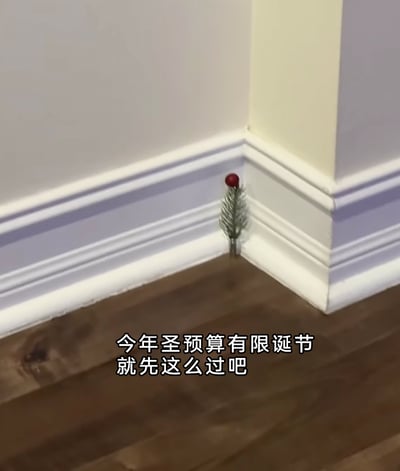 这张静态图展示了室内地板与踢脚线的角落处，放置着一个极其迷你的“圣诞树”——仅有一小枝松针状的枝叶，顶部点缀一颗红色小装饰球。图片下方配有语序失误的字幕“今年圣预算有限诞节就先这么过吧”，实际想表达的是“今年圣诞节预算有限，就先这么过吧”，通过这种夸张的迷你圣诞树搭配自嘲的文字，用幽默的方式调侃因预算不足，只能用最敷衍的方式度过圣诞节的窘迫，充满了生活化的自嘲趣味，容易引发有类似经历的人的共鸣。
