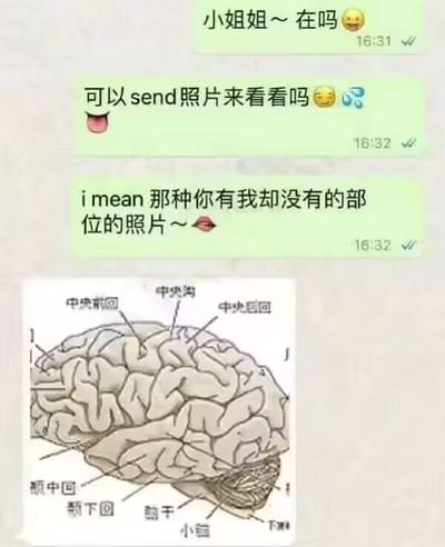 这是一张幽默的聊天记录梗图，上方为绿色气泡的聊天内容：发送者先以“小姐姐~在吗😊”开启对话，接着请求“可以send照片来看看吗😋💦”，最后暗示“i mean那种你有我却没有的部位的照片~👄”。下方配图是一张标注了“中央前回”“中央后回”“颞中回”“颞下回”“脑干”“小脑”等结构的大脑解剖图，通过谐音和语义双关，用“大脑”这一“你有我却没有的部位”巧妙回应了索要照片的低俗请求，达到讽刺和搞笑效果。