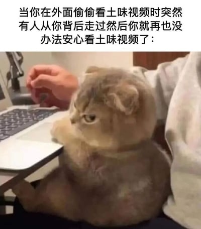 图片上方配有文字：'当你在外面偷偷看土味视频时突然有人从你背后走过然后你就再也没办法安心看土味视频了：'，下方是一只浅棕色的猫，正坐在笔记本电脑旁，身体微微侧转，头部向后扭转，眼神警惕地望向后方，仿佛被突然出现的人吓到，生动形象地表现出偷偷做某事时被发现的紧张与不自在。