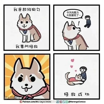 这是一组四格连环卡通漫画，以温暖治愈的风格讲述了宠物陪伴缓解压力的故事：第一格中，戴着披风、挂着S标志项圈的狗狗配文“我是超级狗勾 我专门拯救”，塑造出它的“超级英雄”定位；第二格中，一个垂头坐着的男生叹气说道“今天的压力大到要死了…”，狗狗听到后露出惊讶的表情；第三格是狗狗的特写，背景带有放射状光芒，狗狗吐着舌头，看起来充满活力与治愈感；第四格中，狗狗躺在男生的腿边，男生挨着狗狗，画面旁飘着爱心，配文“拯救成功”，展现了狗狗用简单的陪伴就治愈了压力缠身的男生，传递出宠物能给人带来情绪慰藉、缓解压力的温暖主题，整体画风可爱柔和，容易引发共鸣。