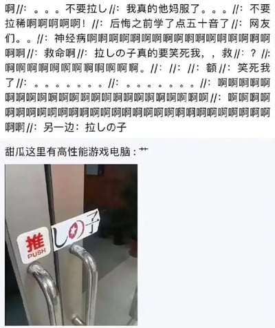 这是一张玩谐音梗的搞笑图文，图片上半部分是网友的聊天记录，网友们看到门上的标识后，因为谐音效果爆笑崩溃，纷纷表示后悔学过五十音，看到“拉しの子”就忍不住读成“拉稀”，情绪十分激动；下半部分是实拍的双开玻璃门照片，左侧推把手旁贴了写着“推 PUSH”的标识，右侧拉把手位置贴了手写纸条，连起来读就是“拉しの子”，懂基础日语五十音的中文使用者会将其读成谐音“拉稀”，形成搞笑效果，图片中部还有文字“甜瓜这里有高性能游戏电脑: ++”。
